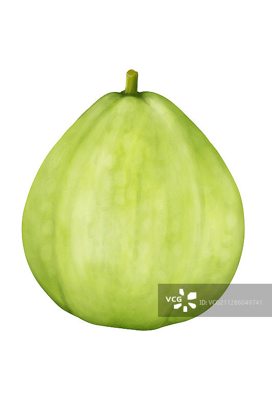 新鲜的番石榴图片素材