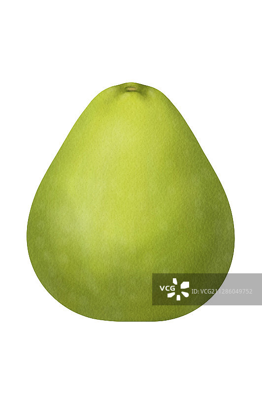 一颗新鲜的柚子图片素材