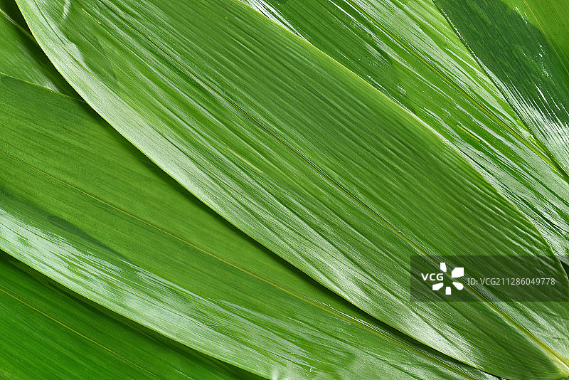 端午节粽叶图片素材