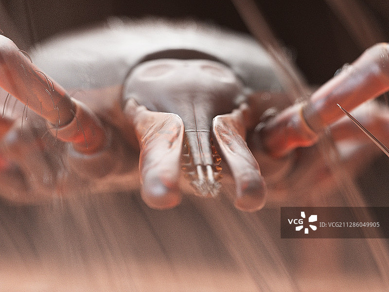 在人体皮肤上爬行的蜱虫插画图片素材