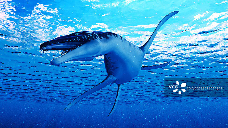 滑齿龙插画图片素材