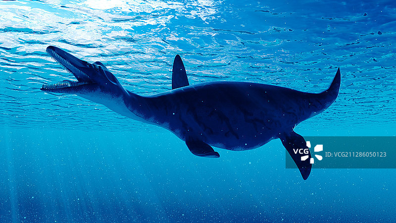 长喙龙插画图片素材