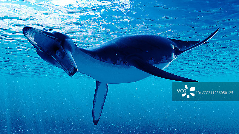 长喙龙插画图片素材