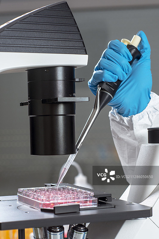 科学家用移液管取样图片素材