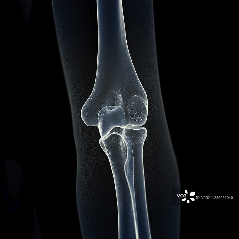 肘部骨骼插画图片素材