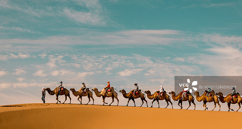 沙漠驼铃图片素材