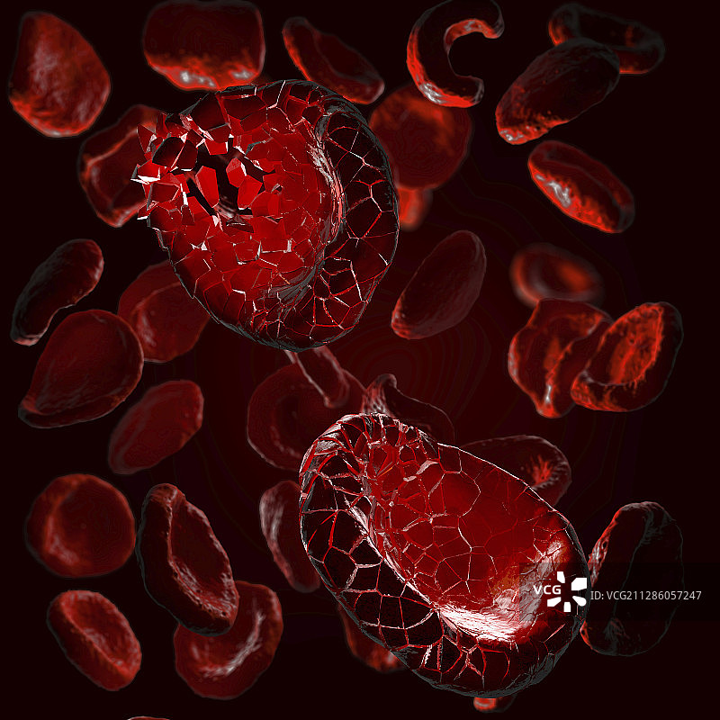 正在解体的红细胞插图图片素材