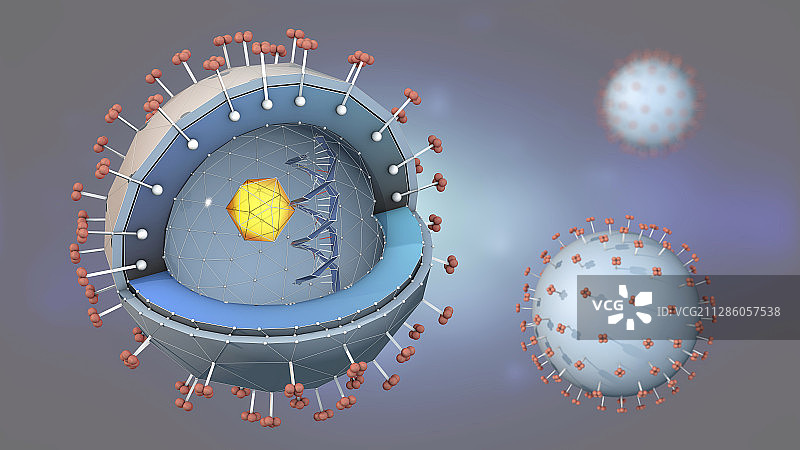 肝炎病毒图示图片素材