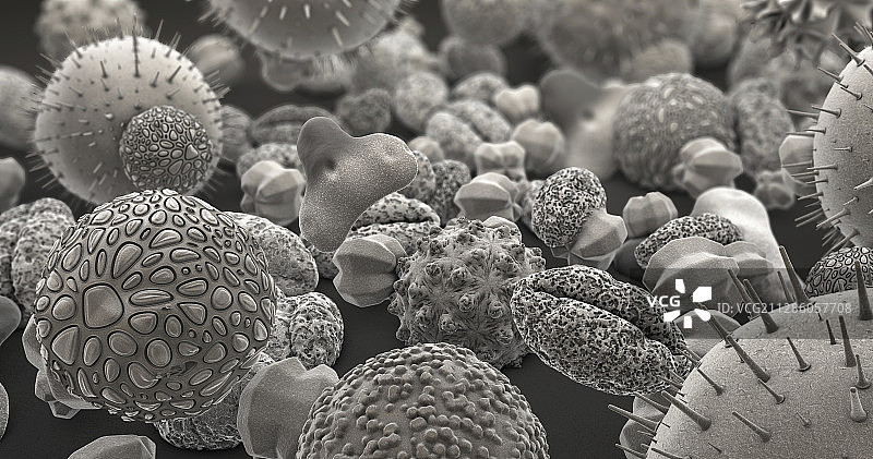 花粉颗粒，插图图片素材