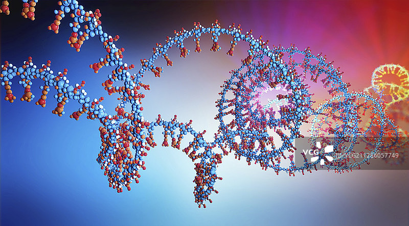 核酸插图图片素材