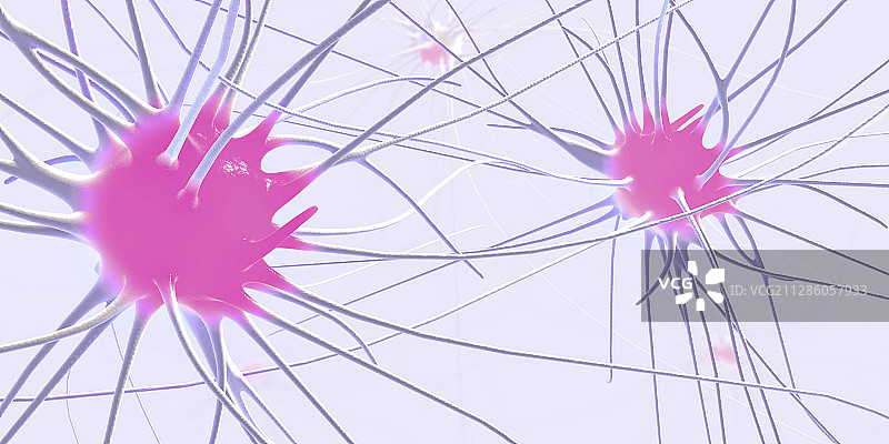 神经细胞插图图片素材