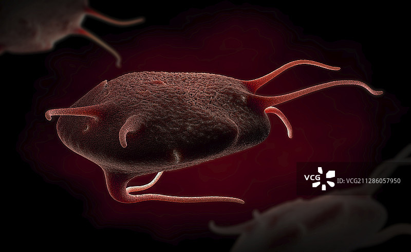 活化血小板插图图片素材