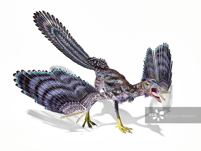 始祖鸟恐龙插画图片素材