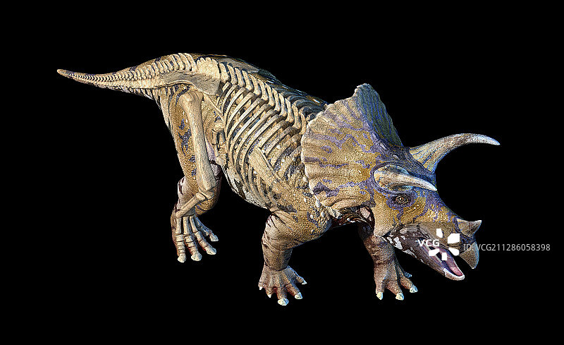 三角龙恐龙插画图片素材