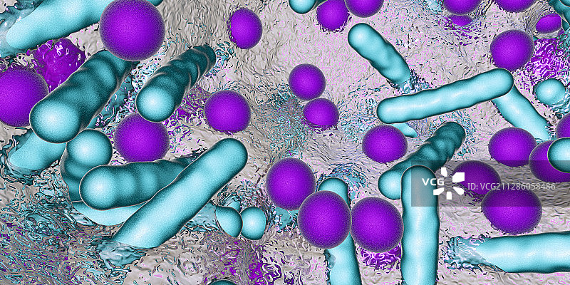 生物膜中的细菌图片素材