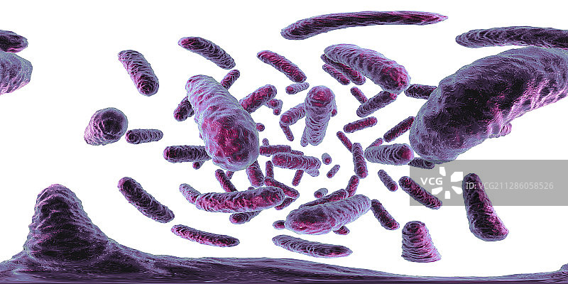 肠杆菌科细菌，图示图片素材