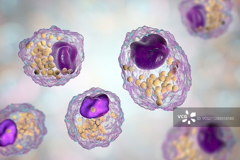 巨噬细胞泡沫细胞插画图片素材