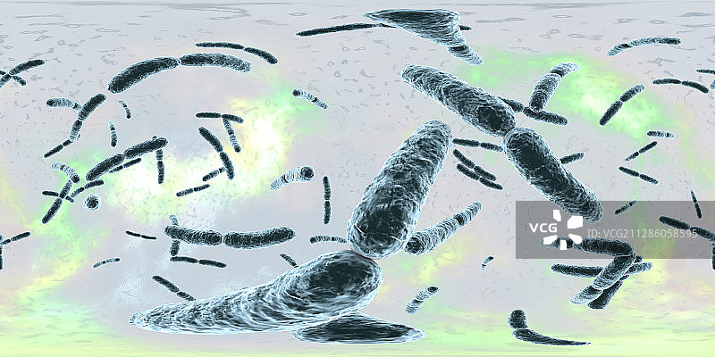 乳酸杆菌图片素材