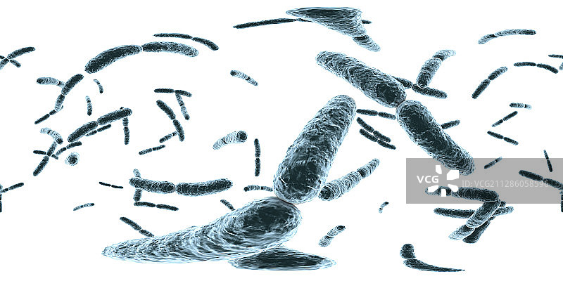 乳酸杆菌图片素材