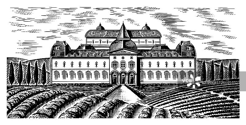 葡萄园风光全景图片素材