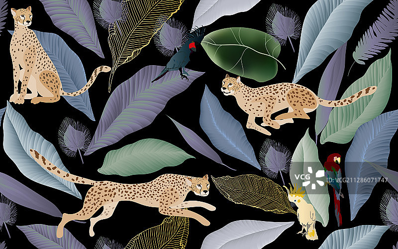 神秘的美洲虎与鹦鹉图片素材