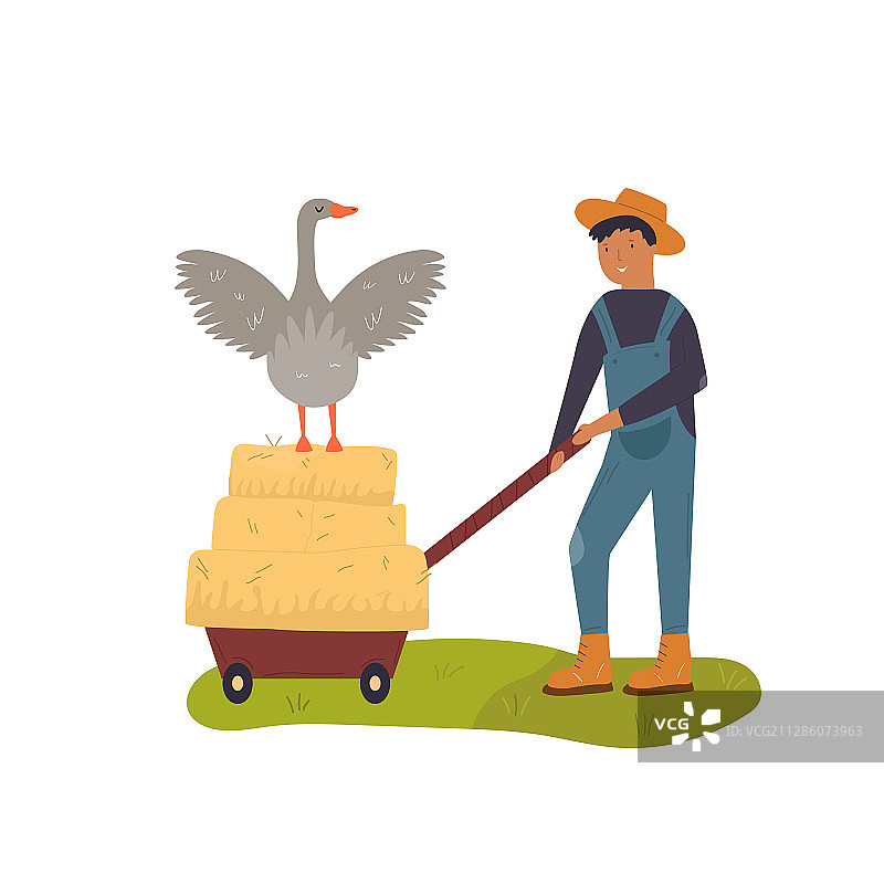 农民和鹅工作的场景图片素材