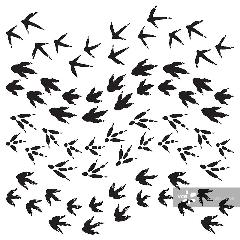 恐龙脚印黑色爪印合集图片素材