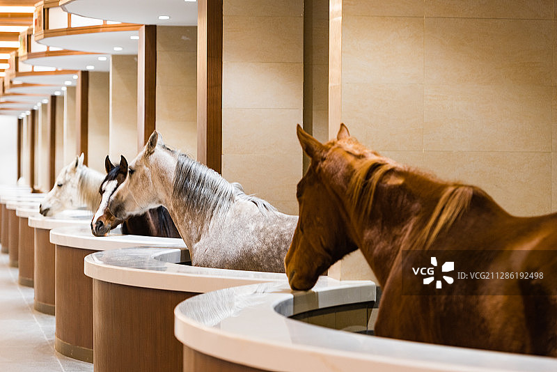 丰宁坝上，中国马镇图片素材