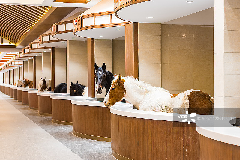 丰宁坝上，中国马镇图片素材