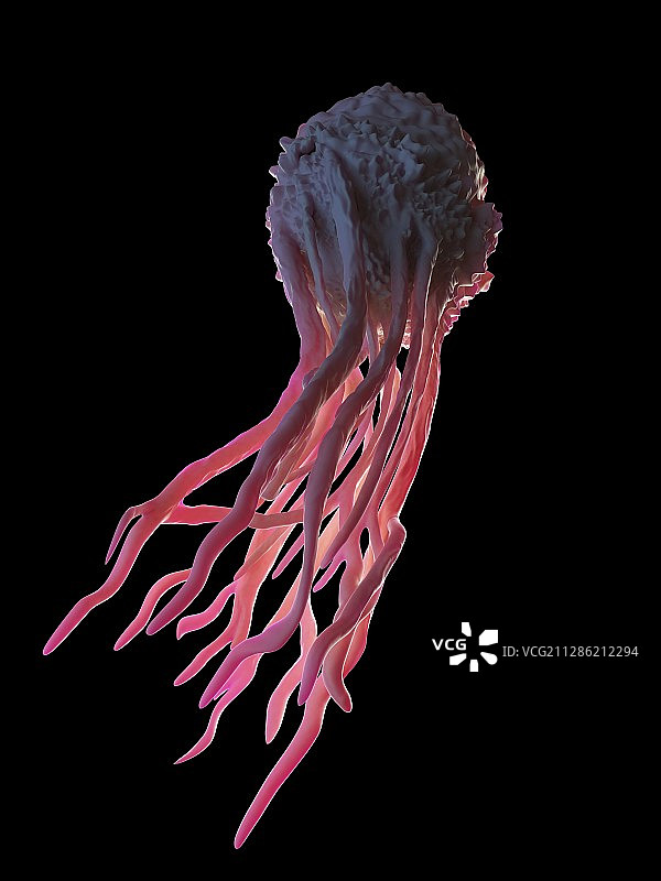 巨噬细胞插画图片素材