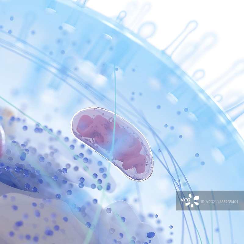 人体细胞插画图片素材