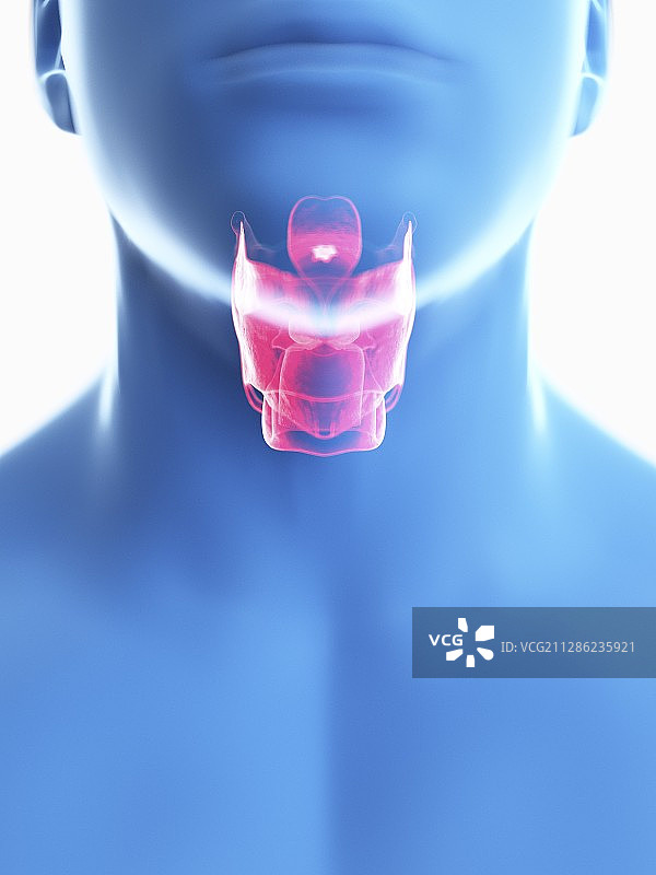 男人的喉咙插画图片素材