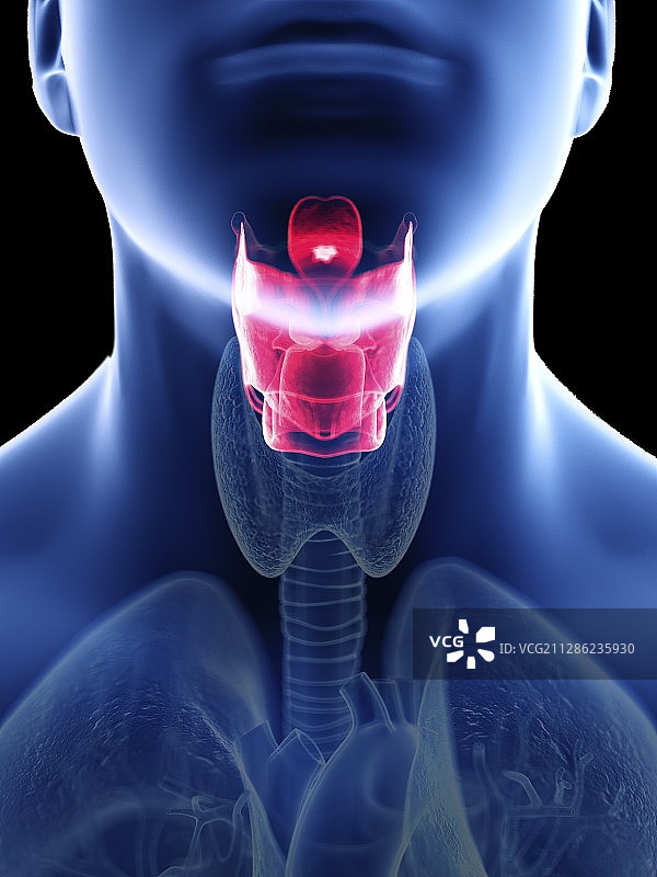 男人的喉咙插画图片素材