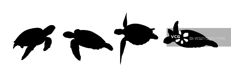 绿色海龟剪影01图片素材