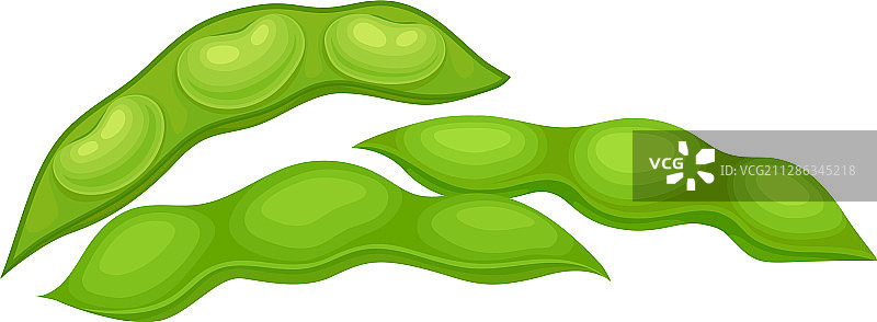 开放和封闭的绿色大豆荚图片素材