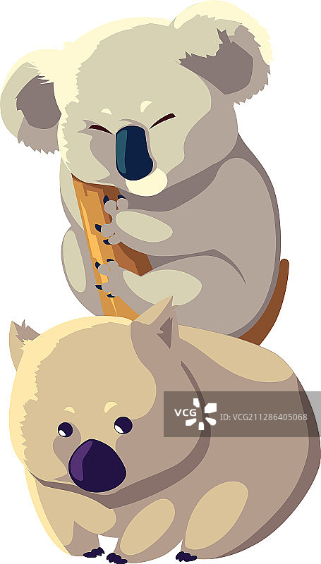 考拉和袋熊，白色背景图片素材