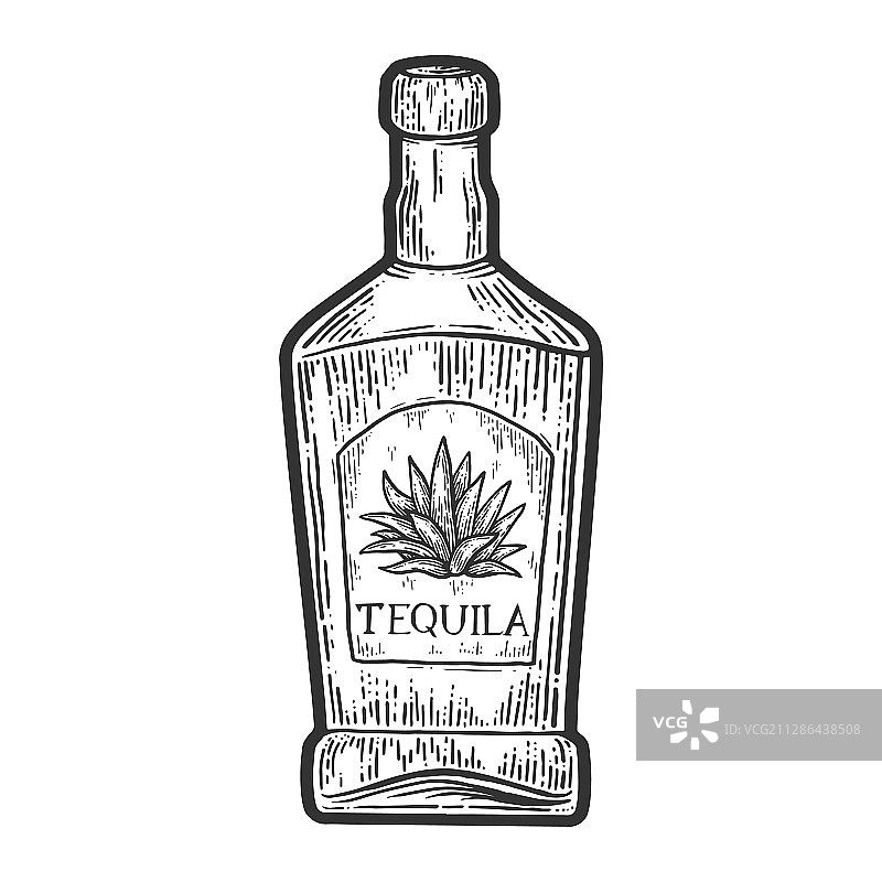 龙舌兰酒瓶素描图片素材