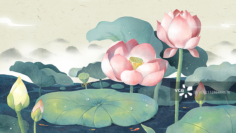 夏至节气 无人图片素材