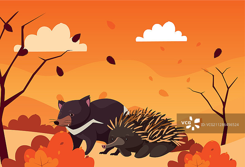 可爱的澳大利亚动物卡片图片素材