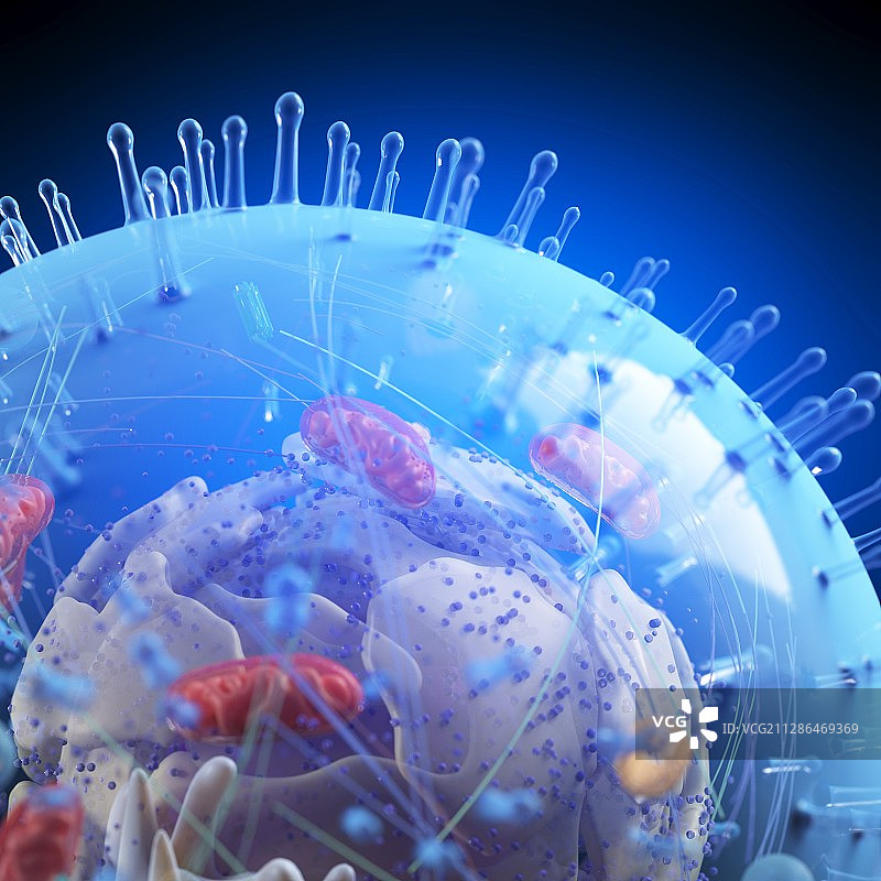 人体细胞插画图片素材