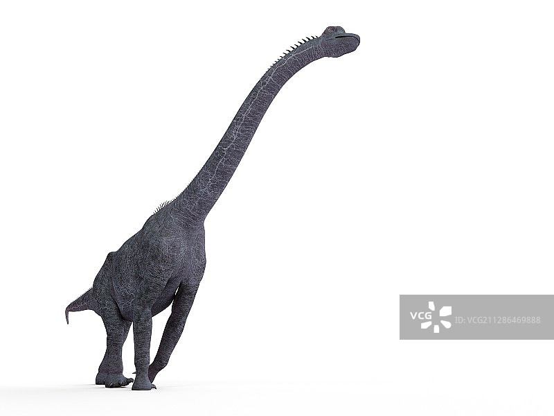 腕龙插画图片素材