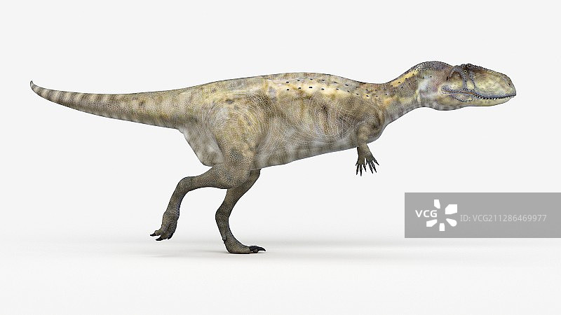 阿贝力龙插画图片素材