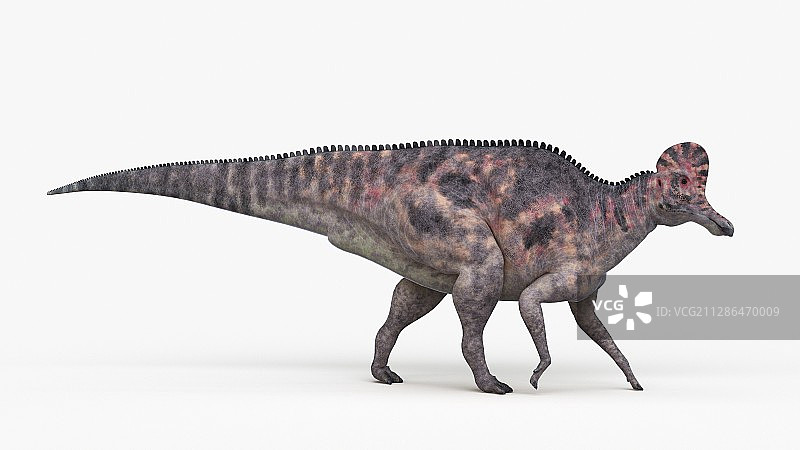 甲龙插图图片素材