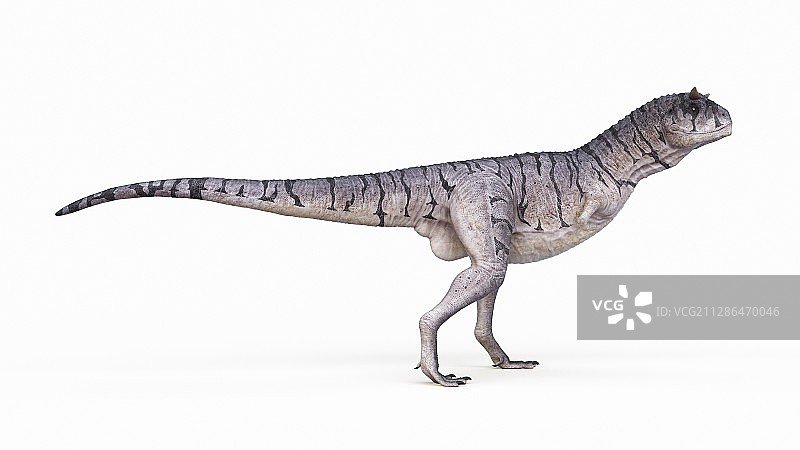 食肉牛龙插画图片素材