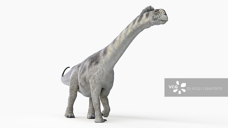 迷惑龙插画图片素材