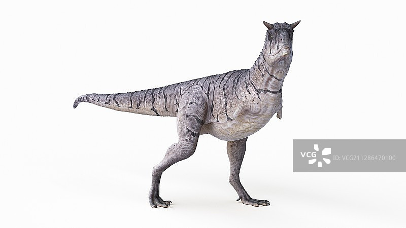 食肉牛龙插画图片素材