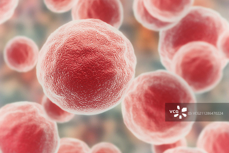 癌细胞,插图图片素材