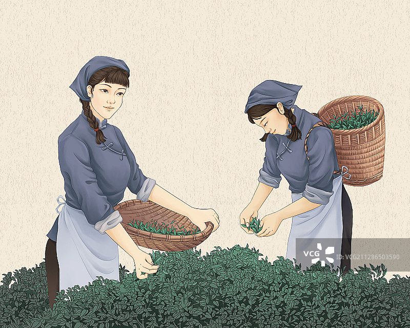 采茶女插画图片素材