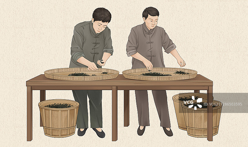 手捻制茶工艺图片素材