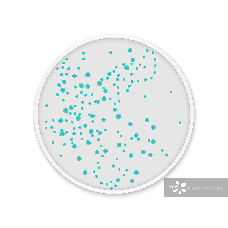 圆形培养皿上的细菌菌落点图片素材